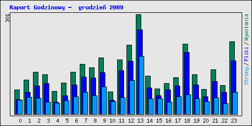 Raport Godzinowy -  grudzie 2009