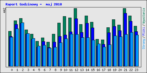 Raport Godzinowy -  maj 2010