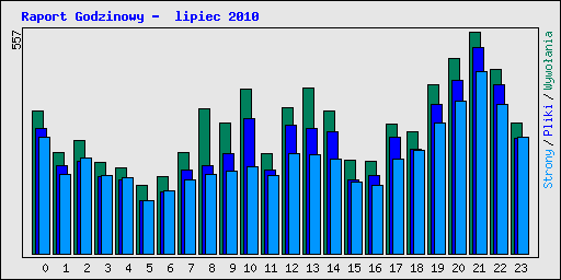 Raport Godzinowy -  lipiec 2010