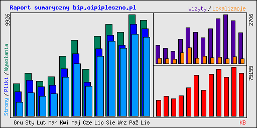 Raport sumaryczny bip.oipipleszno.pl